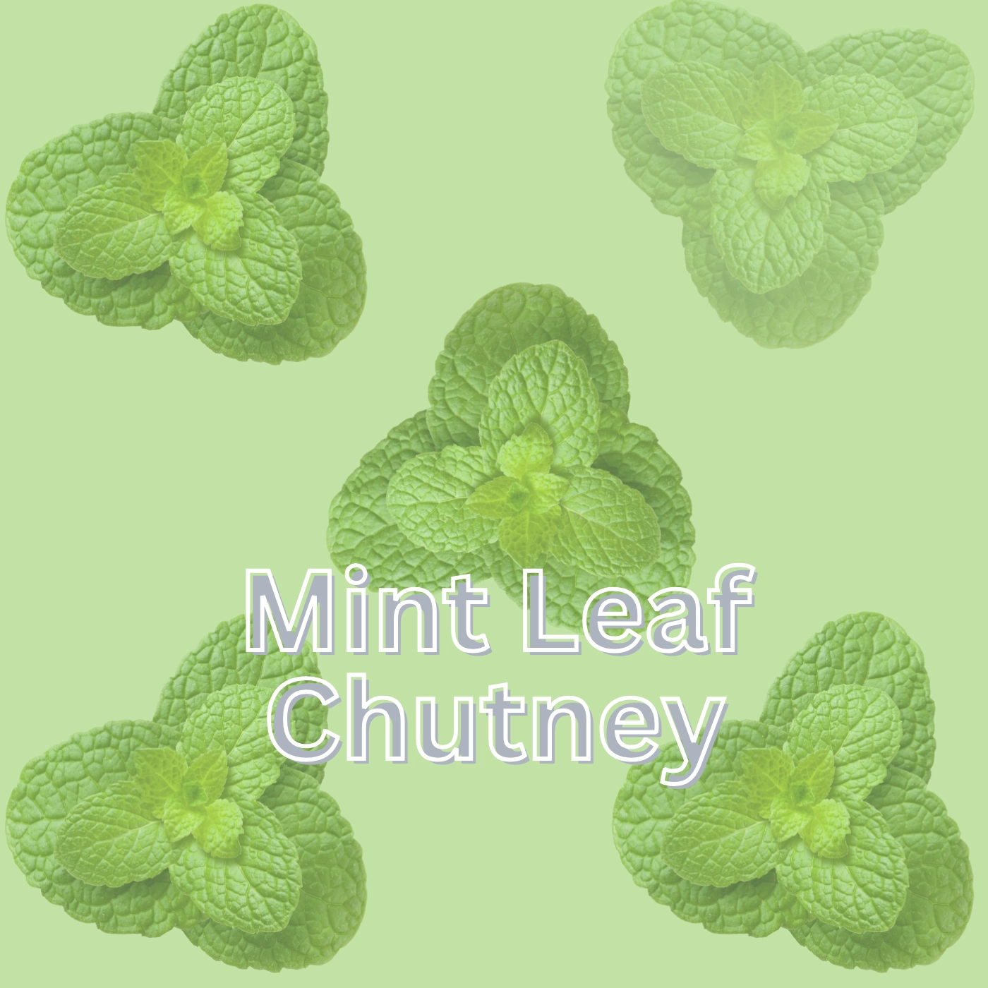 Dehydrated Mint Leaves Chutney